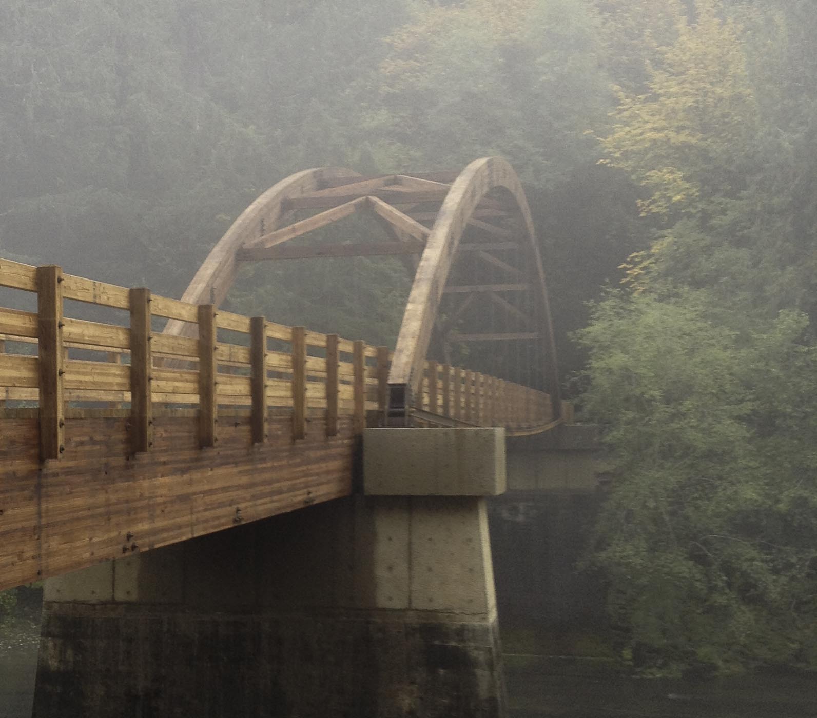 Ashala Gabriel in a natural setting